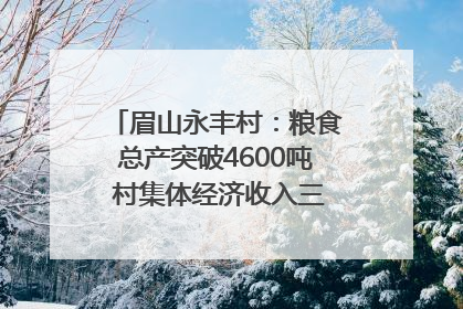 眉山永丰村：粮食总产突破4600吨 村集体经济收入三年倍增｜牵挂的村